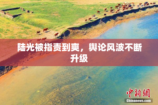 陆光被指责到爽，舆论风波不断升级