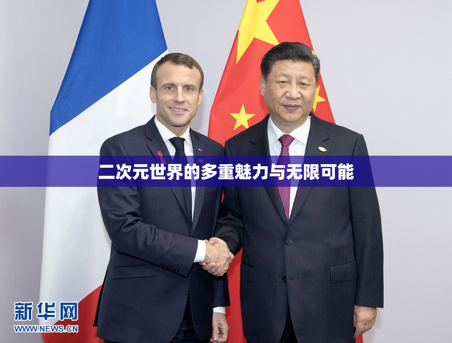 二次元世界的多重魅力与无限可能