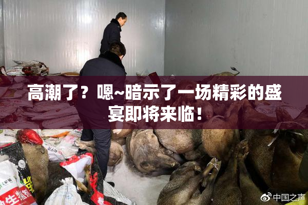 高潮了？嗯~暗示了一场精彩的盛宴即将来临！