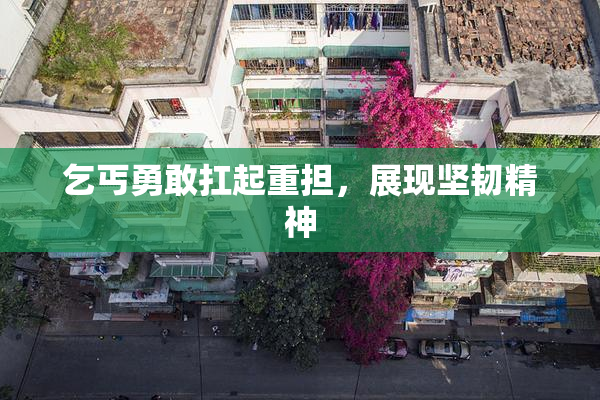乞丐勇敢扛起重担，展现坚韧精神