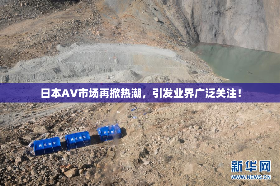 日本AV市场再掀热潮，引发业界广泛关注！