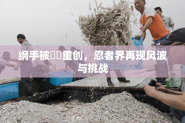纲手被❌‌重创，忍者界再现风波与挑战