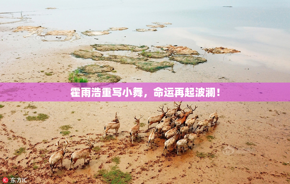 霍雨浩重写小舞，命运再起波澜！