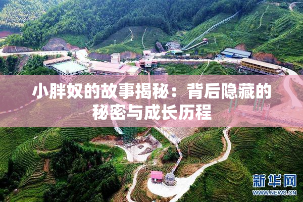 小胖奴的故事揭秘：背后隐藏的秘密与成长历程