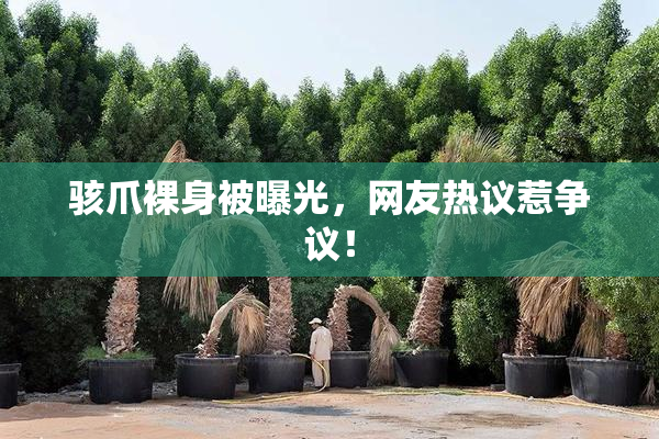 骇爪裸身被曝光，网友热议惹争议！