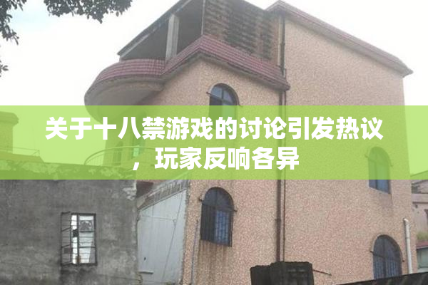 关于十八禁游戏的讨论引发热议，玩家反响各异