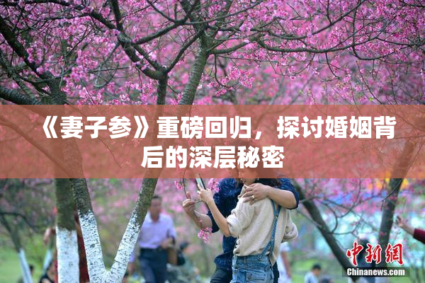 《妻子参》重磅回归，探讨婚姻背后的深层秘密