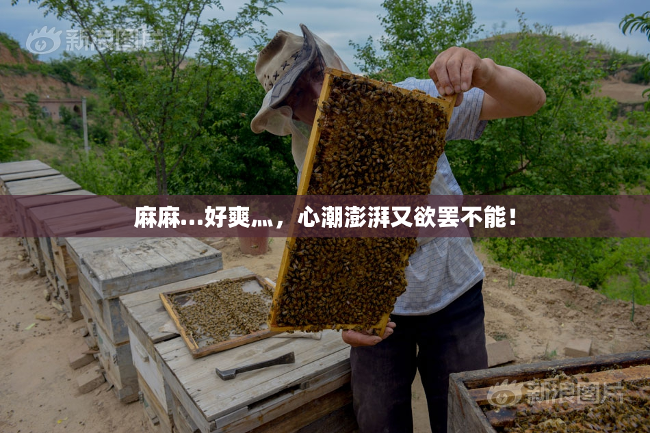 麻麻…好爽灬，心潮澎湃又欲罢不能！