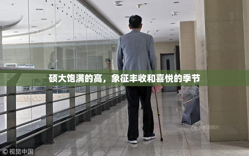 硕大饱满的高，象征丰收和喜悦的季节