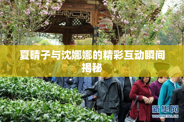 夏晴子与沈娜娜的精彩互动瞬间揭秘