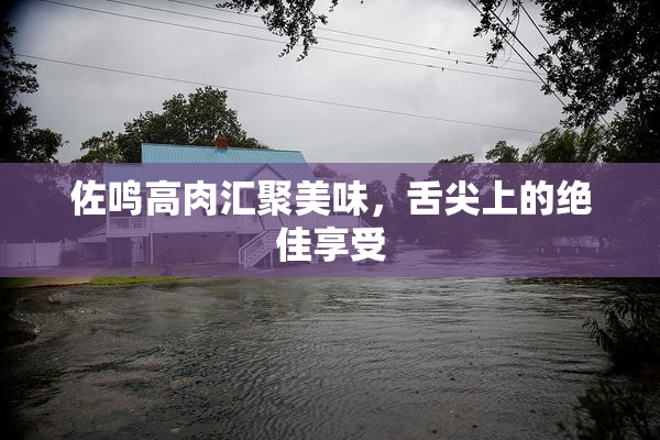 佐鸣高肉汇聚美味，舌尖上的绝佳享受