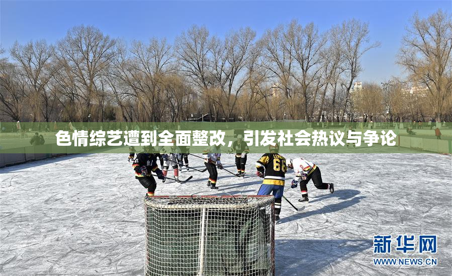 色情综艺遭到全面整改，引发社会热议与争论