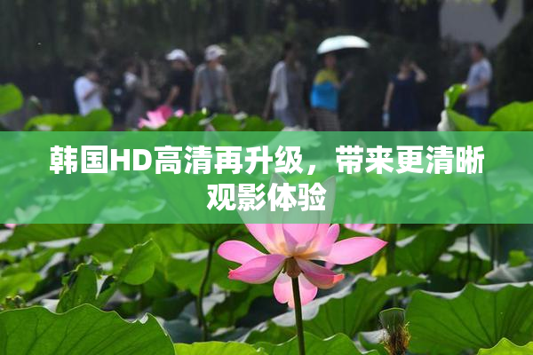 韩国HD高清再升级，带来更清晰观影体验