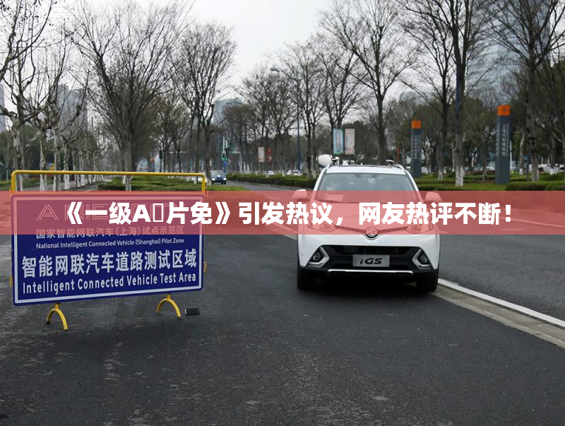 《一级A婬片免》引发热议，网友热评不断！