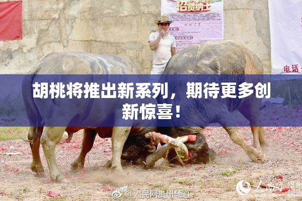 胡桃将推出新系列，期待更多创新惊喜！