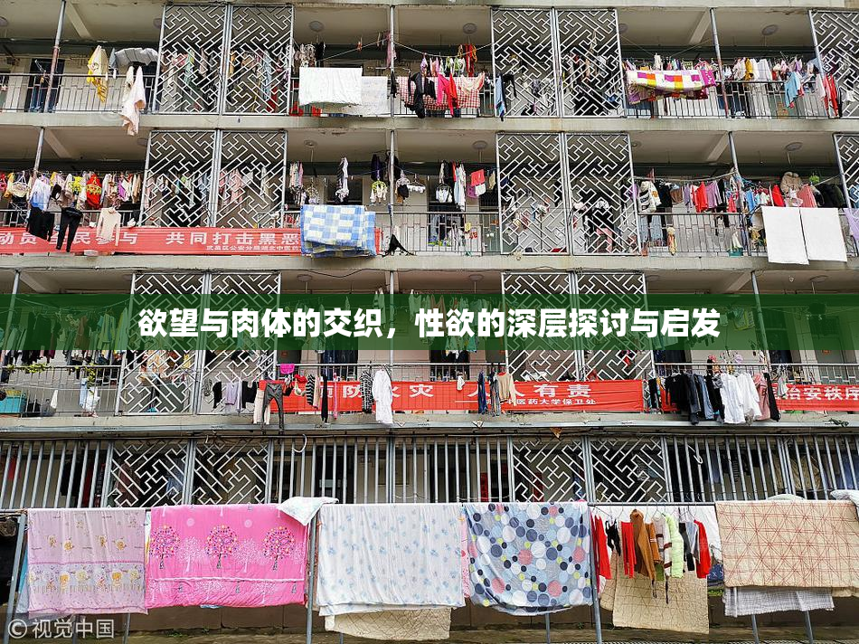 欲望与肉体的交织，性欲的深层探讨与启发