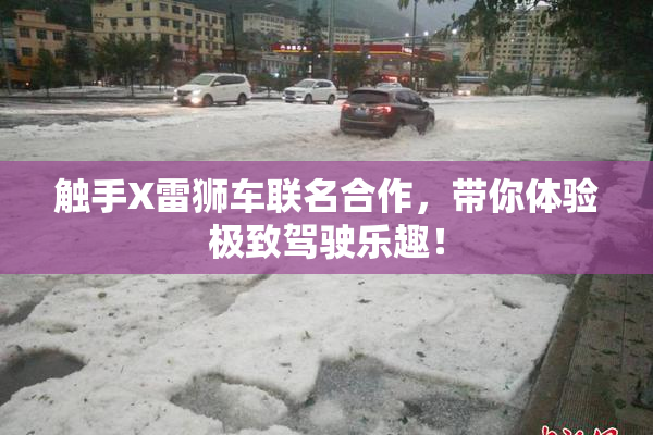 触手X雷狮车联名合作，带你体验极致驾驶乐趣！