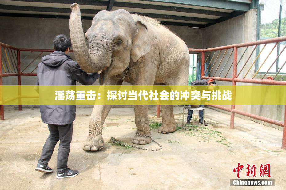 淫荡重击：探讨当代社会的冲突与挑战