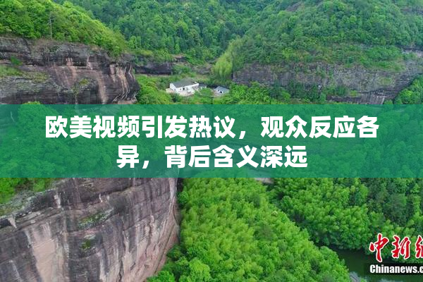 欧美视频引发热议，观众反应各异，背后含义深远