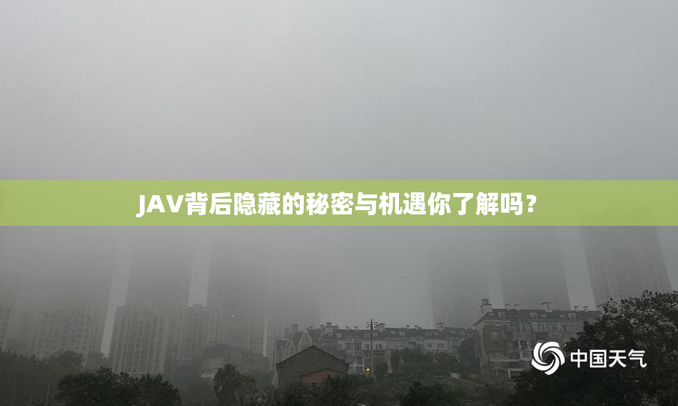 JAV背后隐藏的秘密与机遇你了解吗？