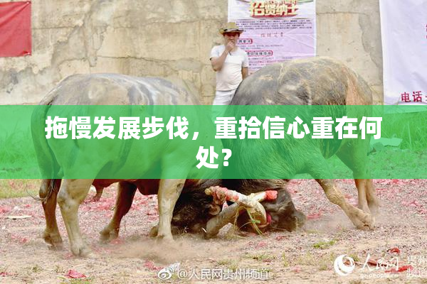 拖慢发展步伐，重拾信心重在何处？