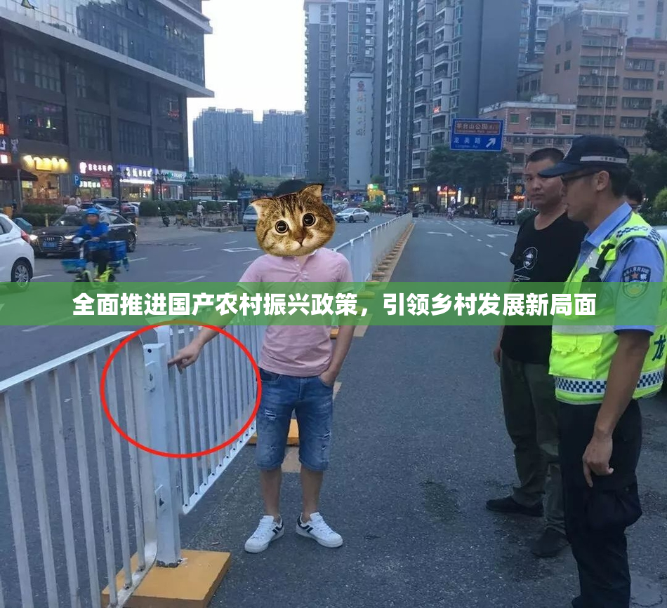 全面推进国产农村振兴政策，引领乡村发展新局面