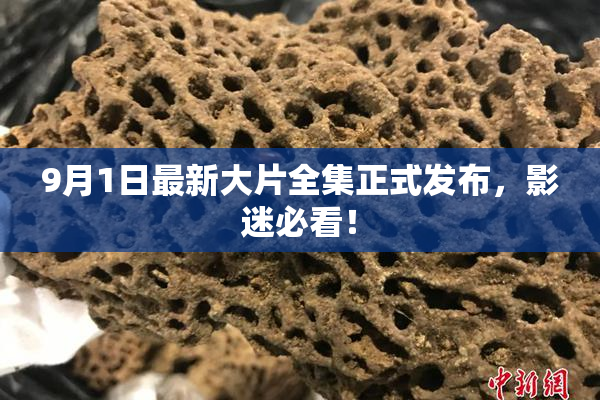 9月1日最新大片全集正式发布，影迷必看！