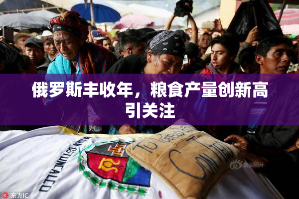 俄罗斯丰收年，粮食产量创新高引关注