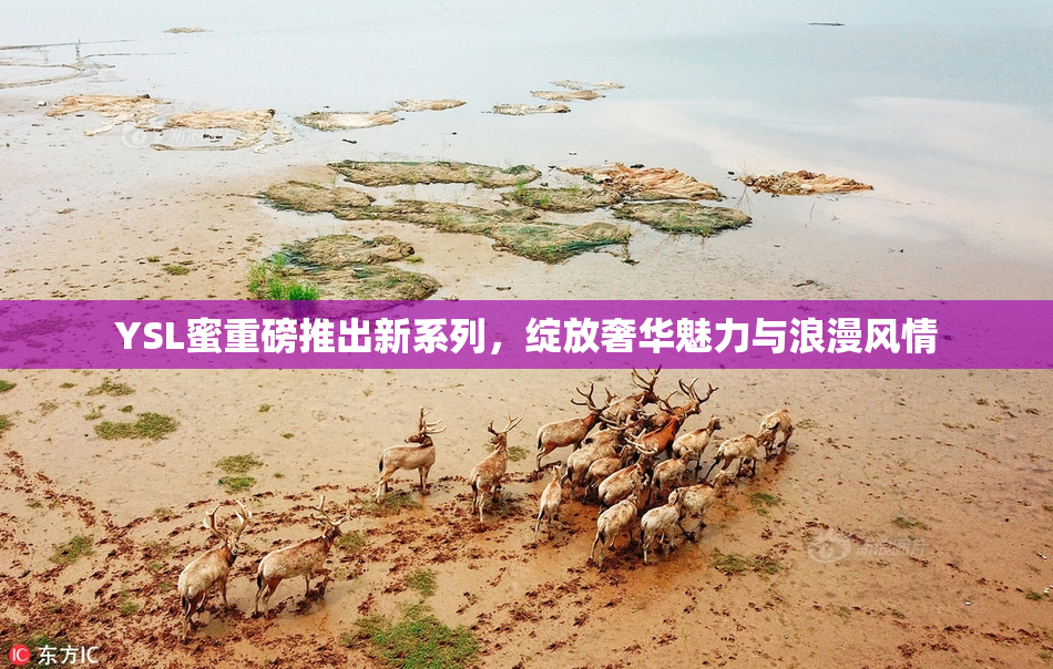 YSL蜜重磅推出新系列，绽放奢华魅力与浪漫风情