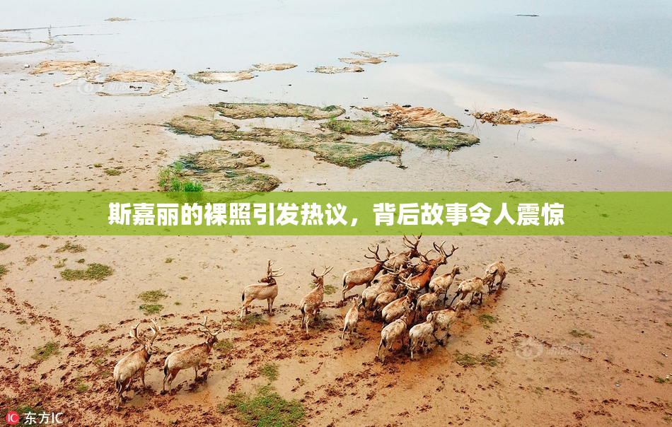 斯嘉丽的裸照引发热议，背后故事令人震惊