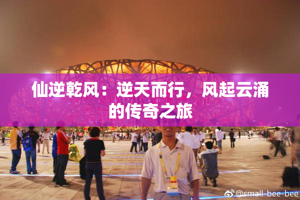 仙逆乾风：逆天而行，风起云涌的传奇之旅