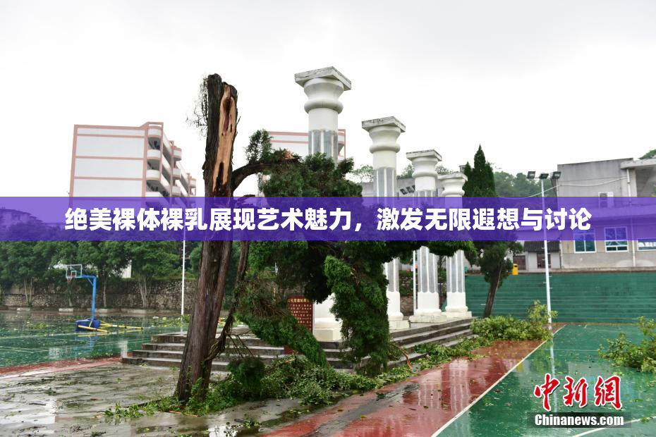绝美裸体裸乳展现艺术魅力，激发无限遐想与讨论