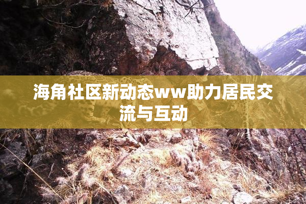 海角社区新动态ww助力居民交流与互动