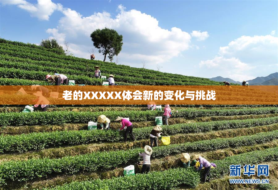 老的XXXXX体会新的变化与挑战