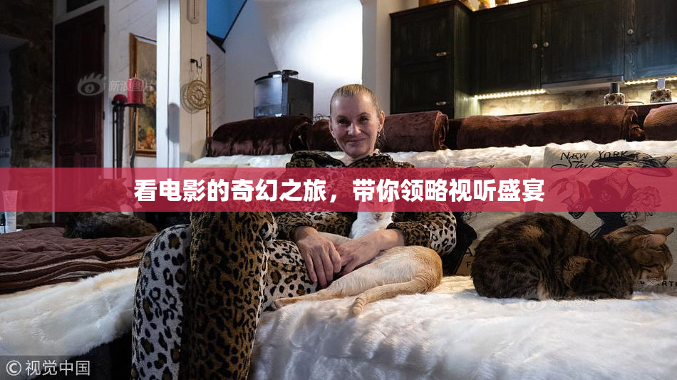 看电影的奇幻之旅，带你领略视听盛宴