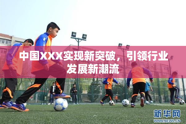 中国XXX实现新突破，引领行业发展新潮流