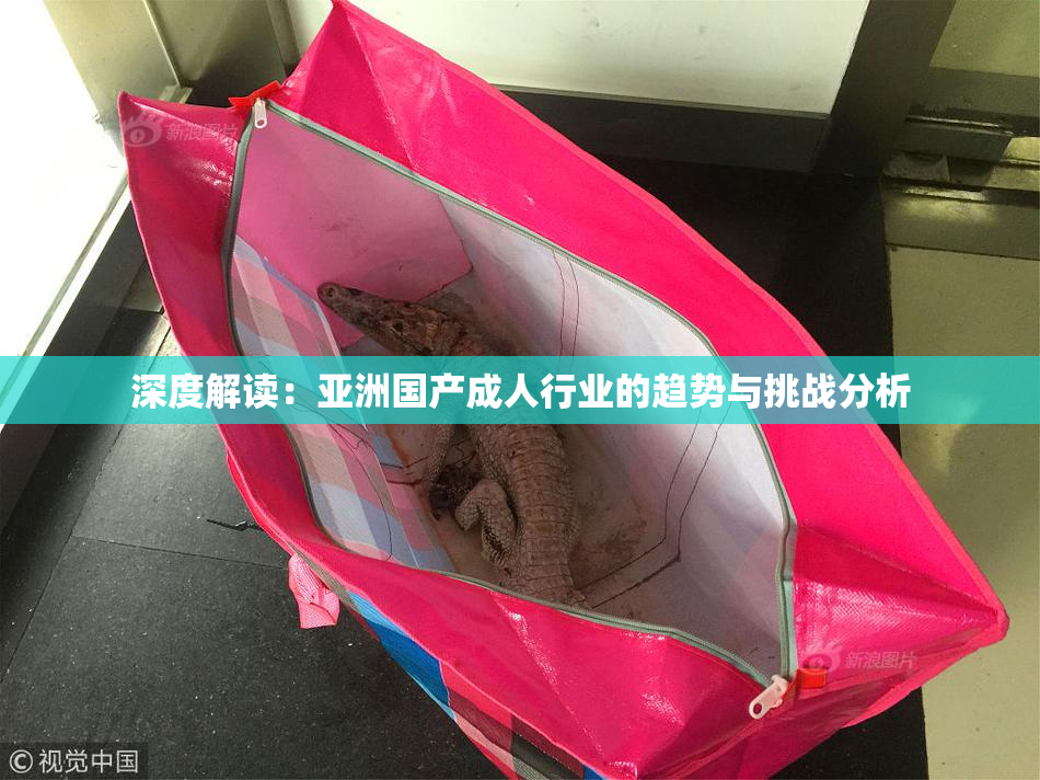 深度解读：亚洲国产成人行业的趋势与挑战分析