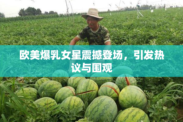 欧美爆乳女星震撼登场，引发热议与围观
