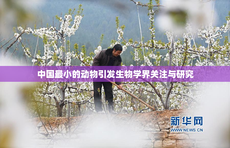 中国最小的动物引发生物学界关注与研究