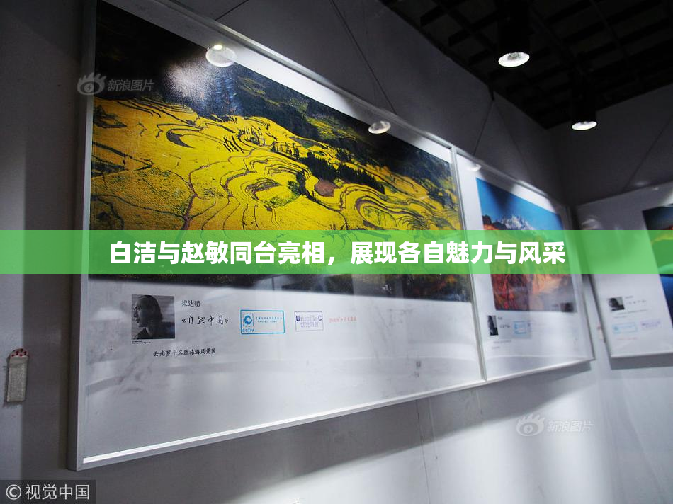 白洁与赵敏同台亮相，展现各自魅力与风采