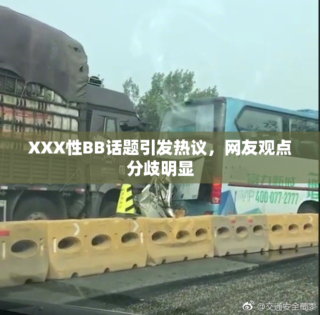 XXX性BB话题引发热议，网友观点分歧明显
