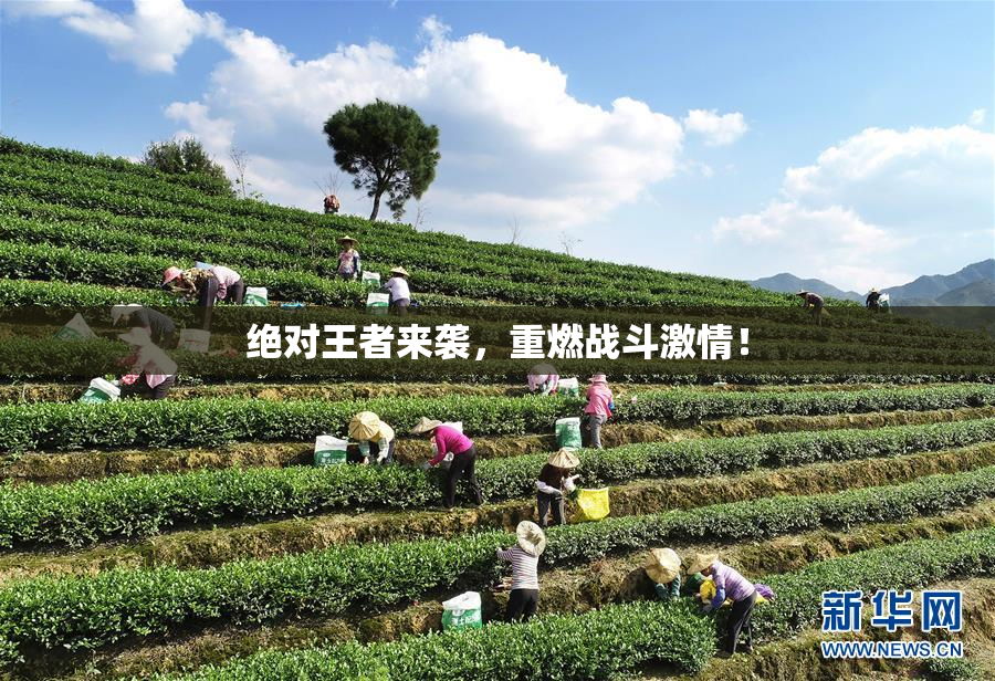 绝对王者来袭，重燃战斗激情！