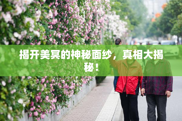 揭开美冥的神秘面纱，真相大揭秘！