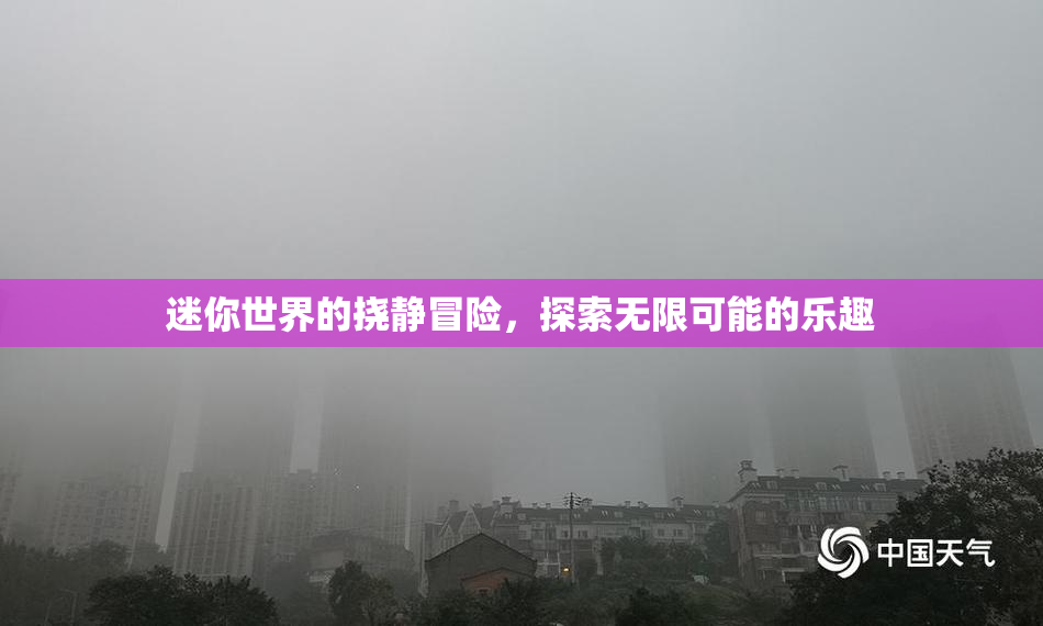 迷你世界的挠静冒险，探索无限可能的乐趣