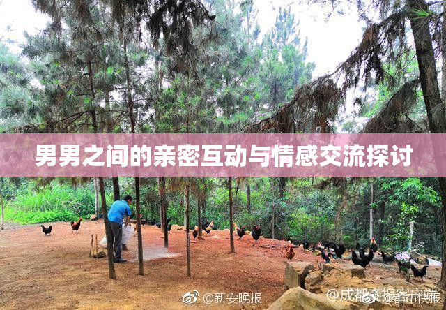男男之间的亲密互动与情感交流探讨