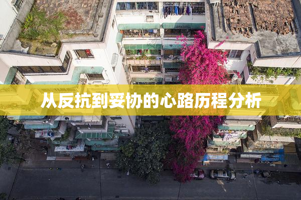 从反抗到妥协的心路历程分析