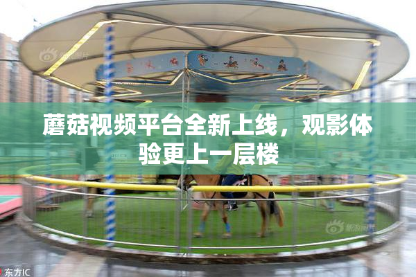 蘑菇视频平台全新上线，观影体验更上一层楼