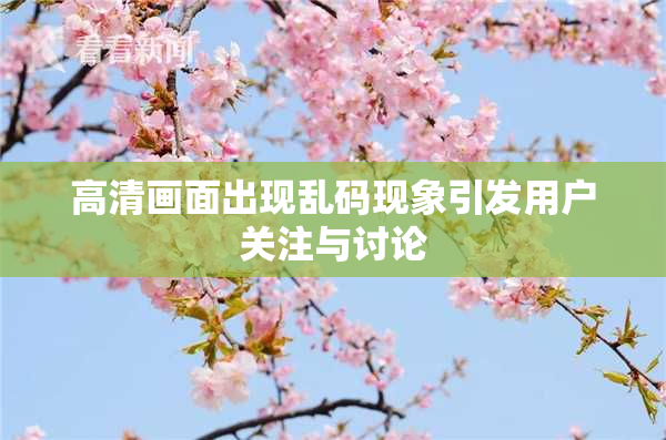 高清画面出现乱码现象引发用户关注与讨论