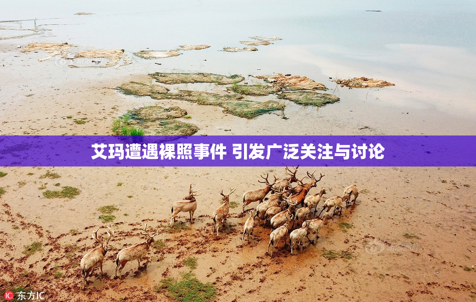 艾玛遭遇裸照事件 引发广泛关注与讨论