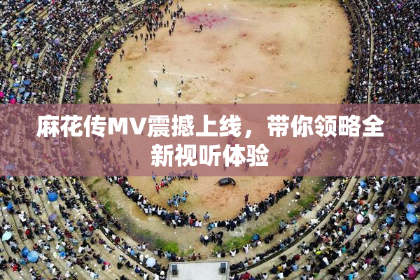 麻花传MV震撼上线，带你领略全新视听体验